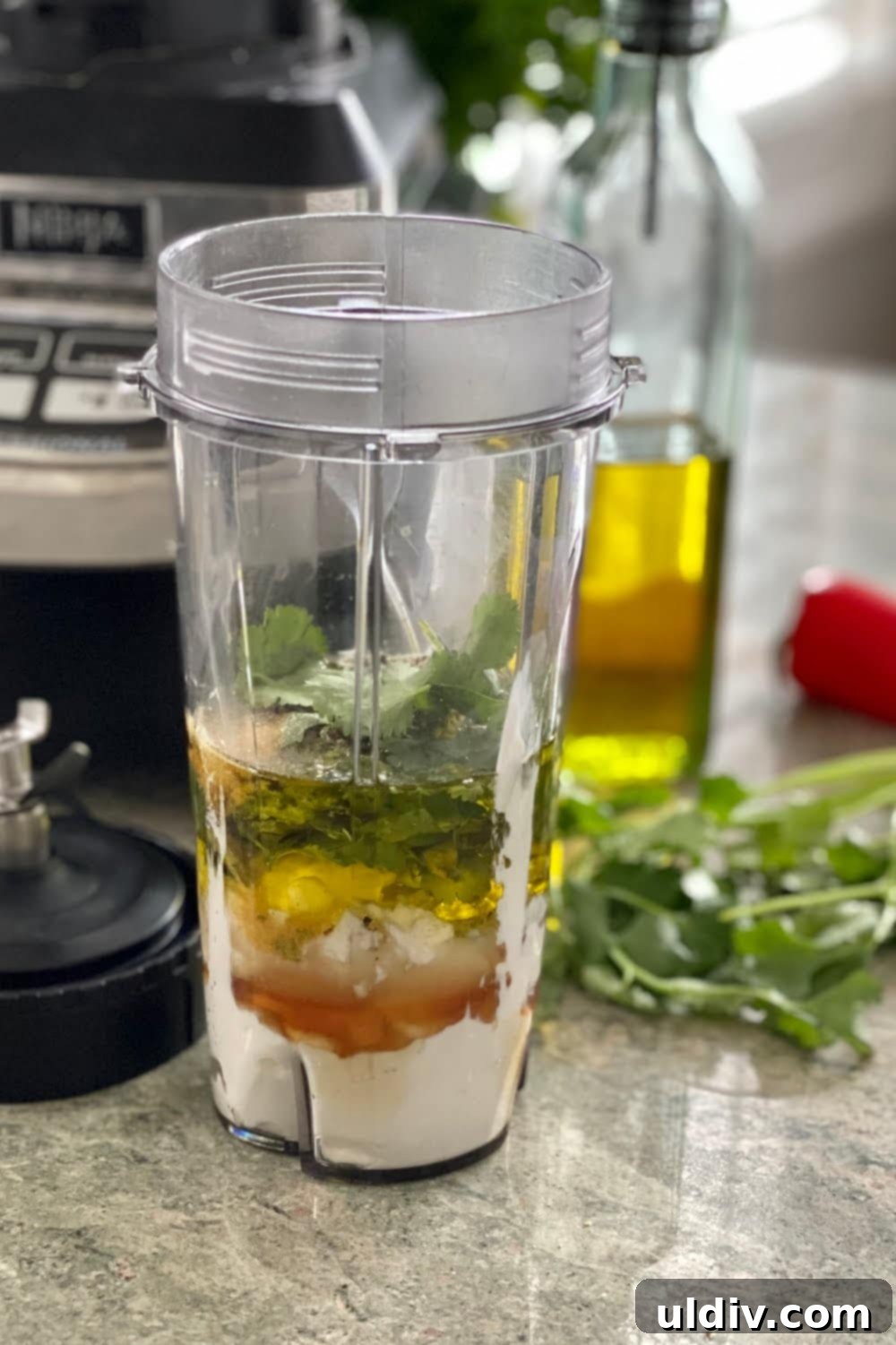 Velvet Cilantro Lime Dressing 3 blender with the fresh ingredients for creamy cilantro lime dressing