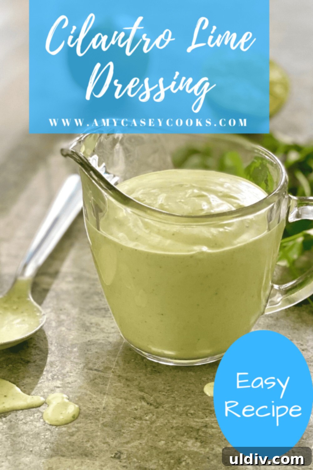Velvet Cilantro Lime Dressing 6 small glass pitcher of creamy cilantro lime dressing with fresh ingredients