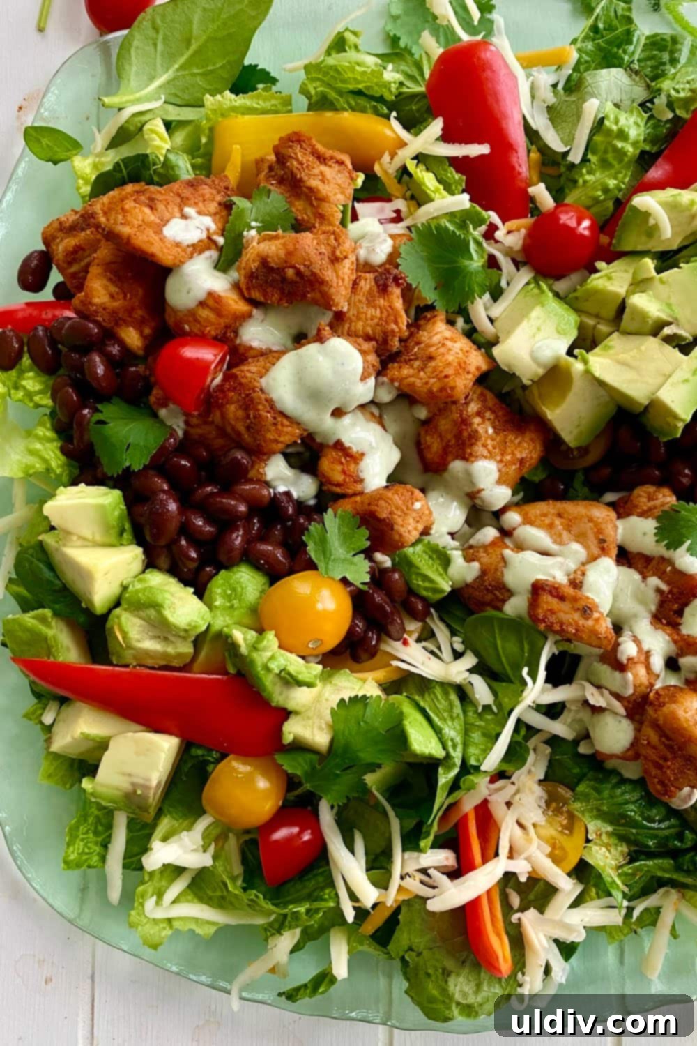 A delicious Southwest Salad with smoky chicken, creamy avocado, pepper jack cheese, and black beans, showcasing vibrant colors and textures.