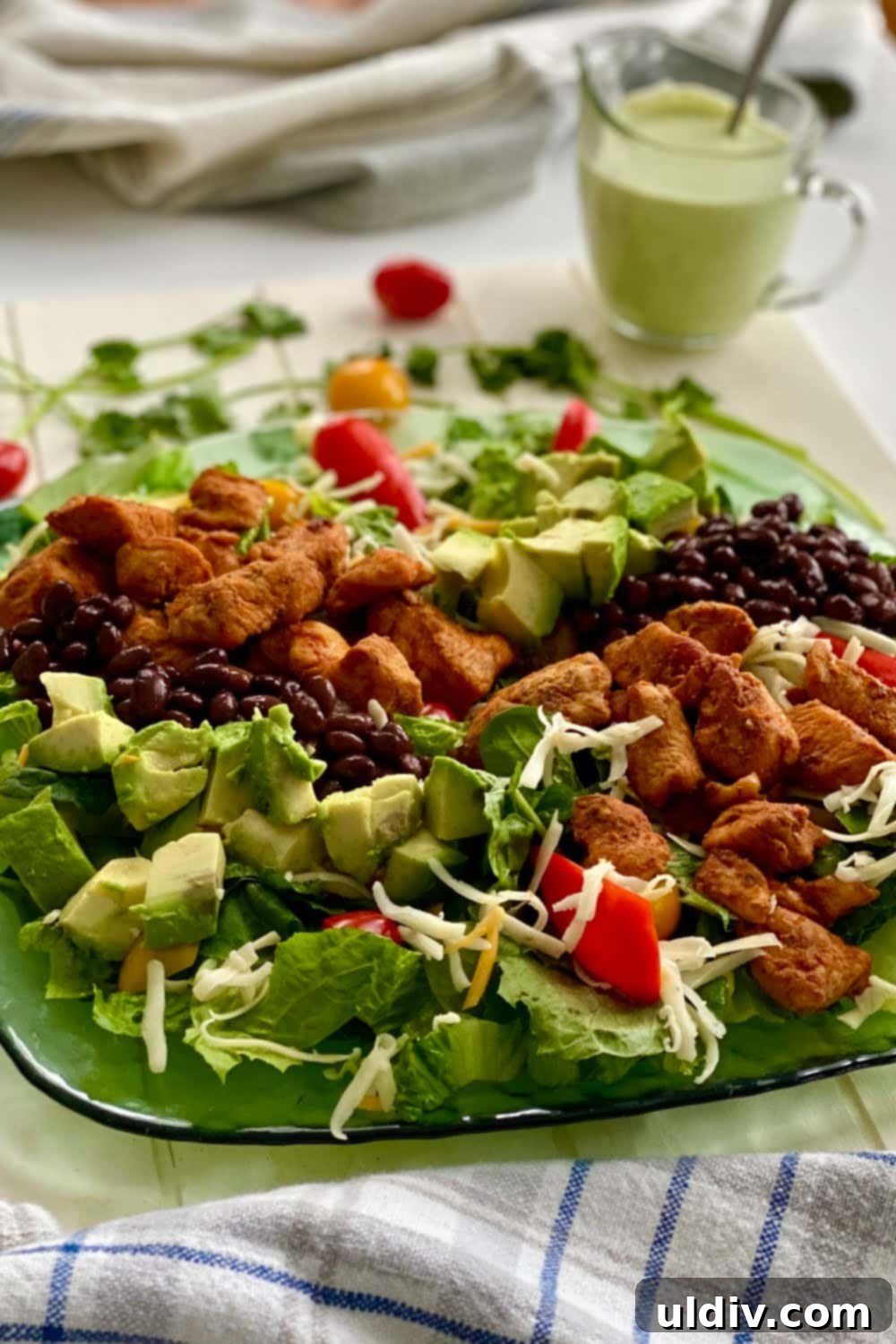 A beautifully presented entrée Southwest Chicken Salad, ready to be enjoyed, showcasing the colorful ingredients.