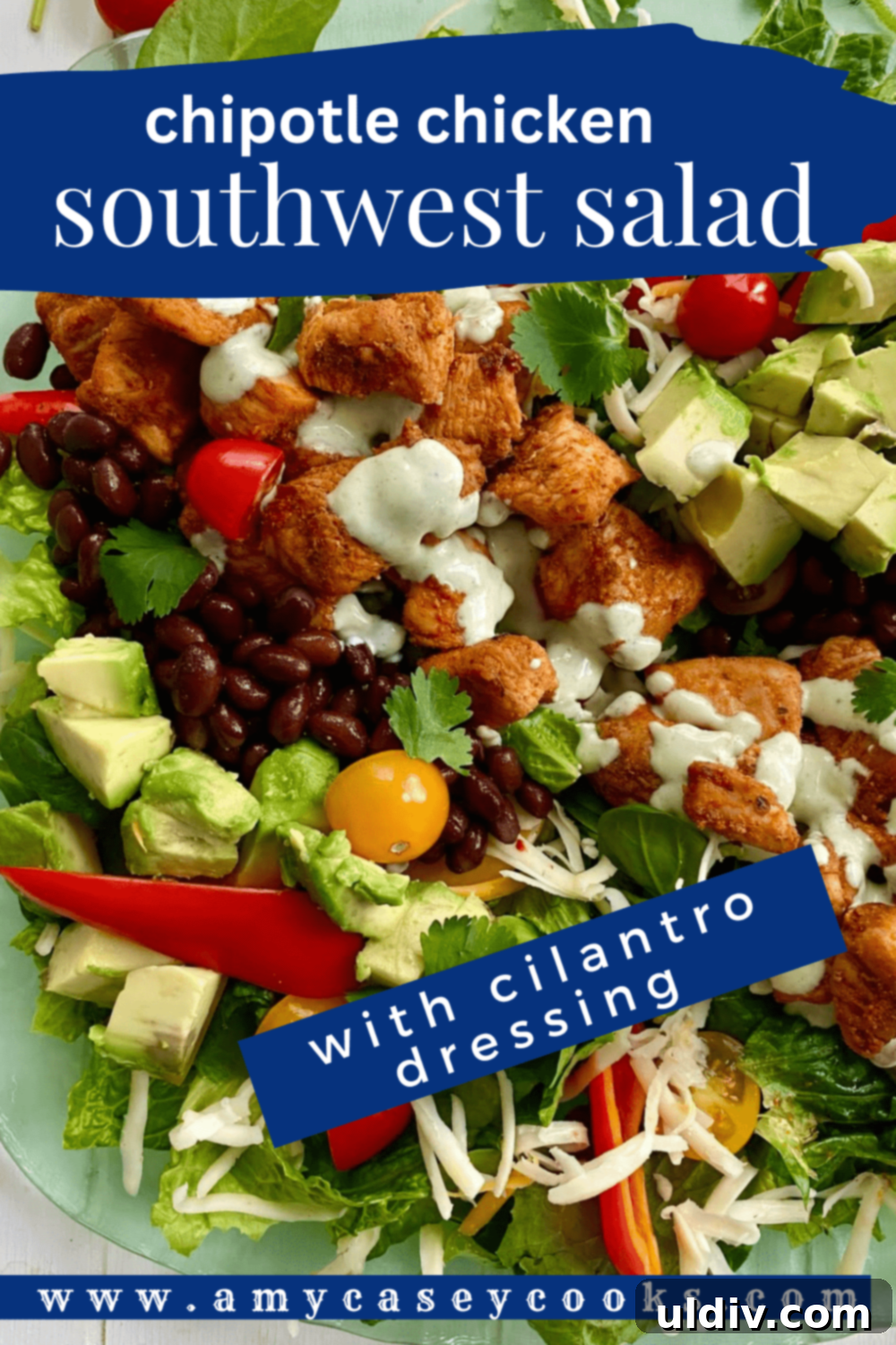 A vibrant entrée chicken salad featuring black beans, cherry tomatoes, and a generous drizzle of cilantro lime dressing.