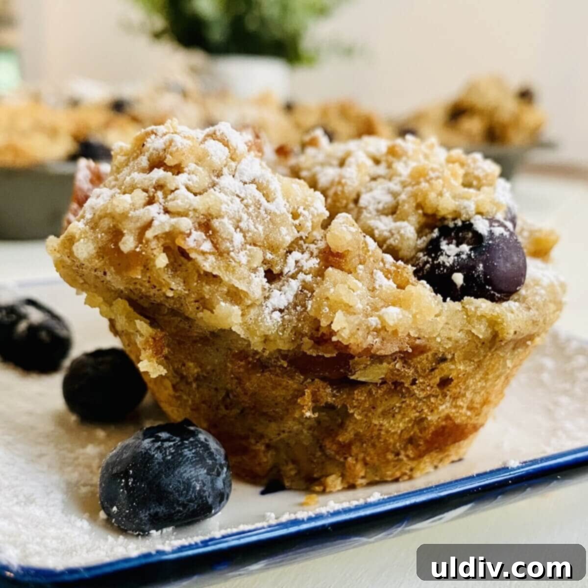 Blueberry Coconut Cinnamon French Toast Muffins 2 A powdered sugar topped French toast muffin with blueberries, glistening with a hint of maple syrup.