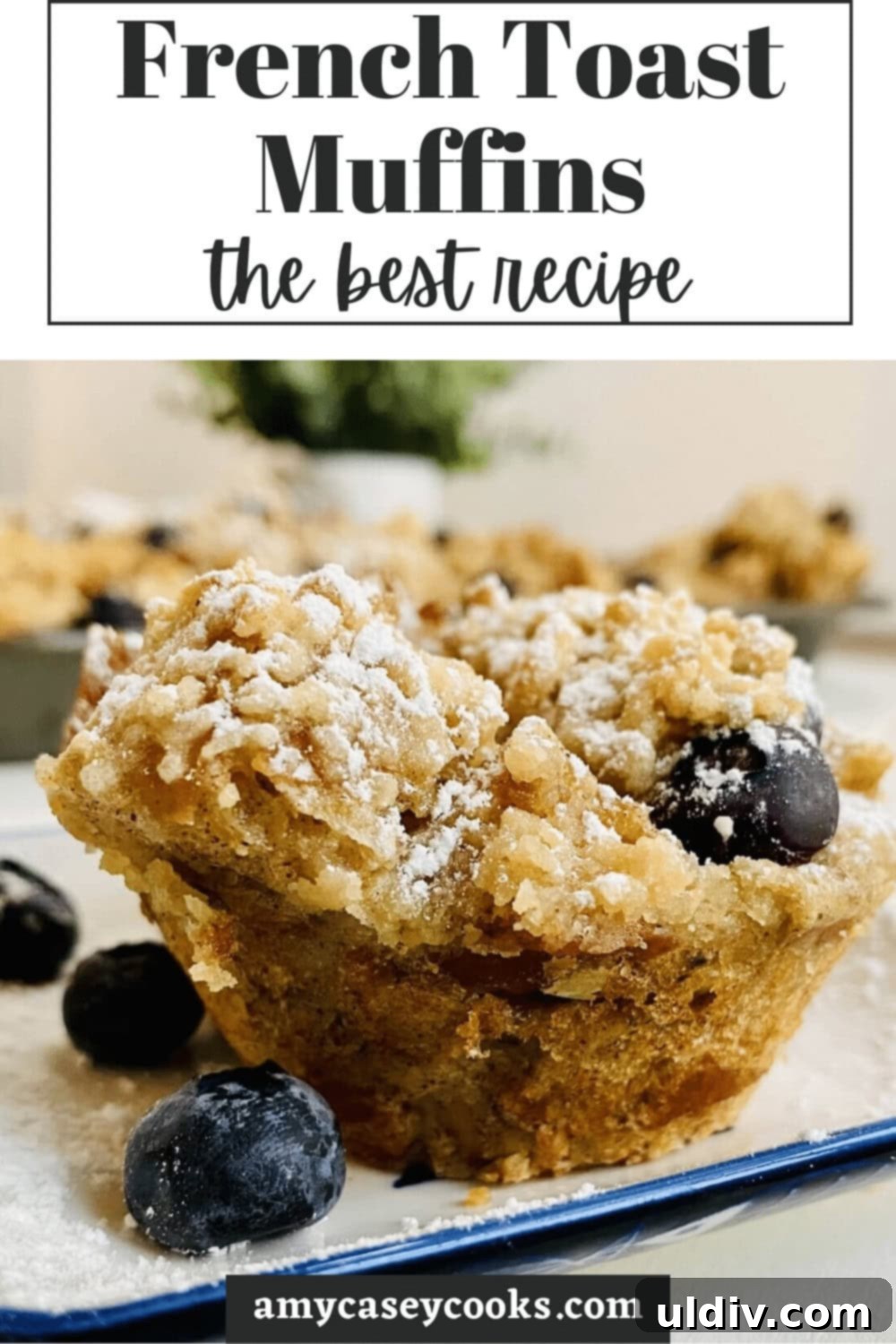 Blueberry Coconut Cinnamon French Toast Muffins 10 A single French toast muffin, beautifully dusted with powdered sugar, sitting invitingly on a white plate, ready to be devoured.