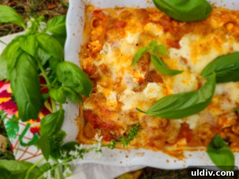 Pasta casserole with San Marzano canned tomatoes