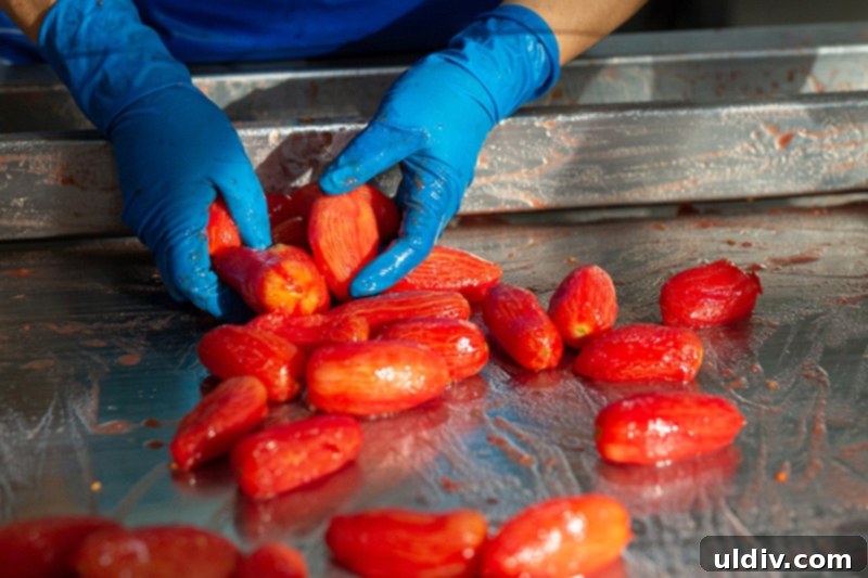 A culinary creation featuring San Marzano DOP tomatoes