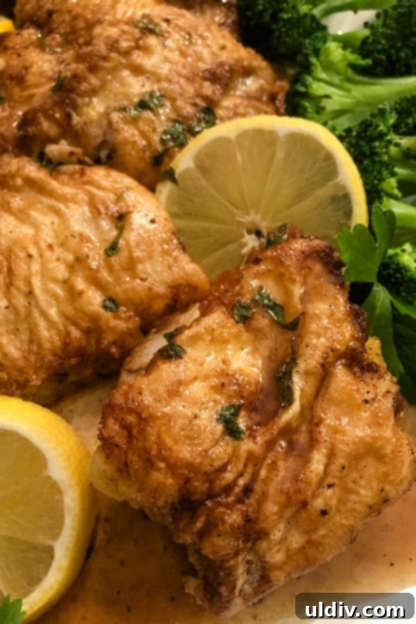 The French Code 2 close up of fish francese