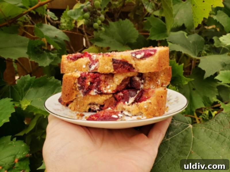 A perfect slice of vanilla and plum pound cake on a plate, revealing its tender crumb and inviting texture, ready to be enjoyed.
