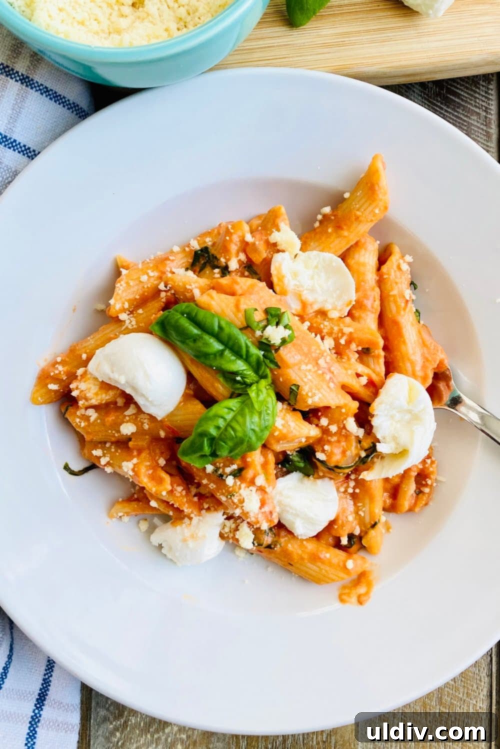 Velvety Tomato Pasta 2 A beautifully plated bowl of creamy tomato pasta garnished with fresh basil and melted mozzarella.