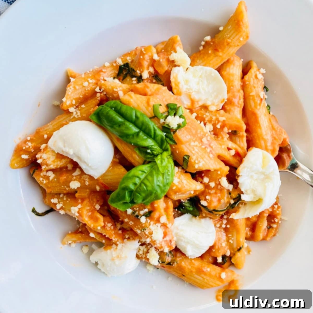 Velvety Tomato Pasta 8 A close-up shot of a bowl of creamy tomato pasta, topped with fresh mozzarella and basil, emphasizing its inviting texture.