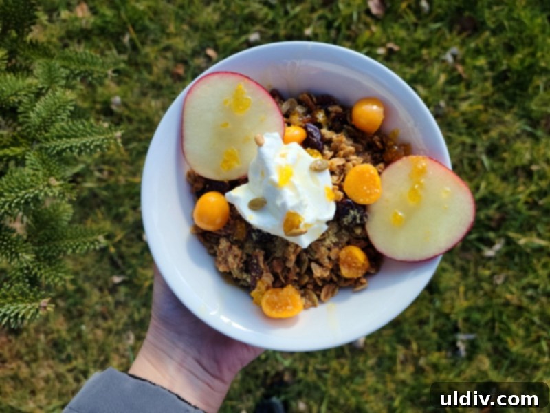 2020 Holiday Gift Guide: A Season of Gratitude 8 A vibrant and fresh breakfast bowl featuring Bang Bang Pie & Biscuits granola, showcasing its versatility