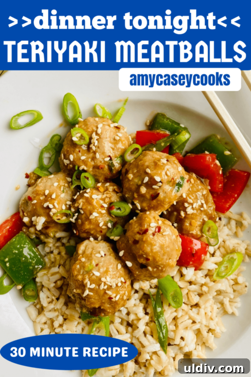 Quick 30-Minute Baked Teriyaki Glazed Turkey Meatballs 11 A beautifully presented bowl of teriyaki turkey meatballs over rice, garnished with fresh herbs, ready to be enjoyed as a perfect dinner.