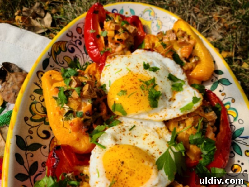New Year's Kickoff Salmon and Gouda Stuffed Peppers 9 Overhead shot of a full plate with two stuffed peppers and an egg