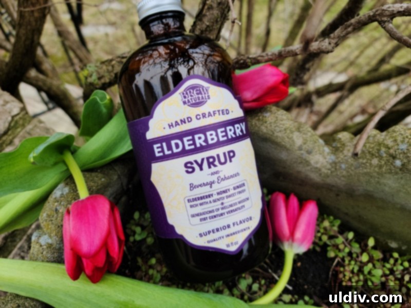 Earth Day Event And Exciting Giveaways 13 Brew Naturals elderberry syrup
