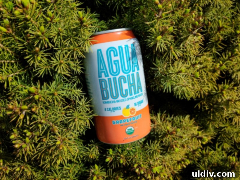 Earth Day Event And Exciting Giveaways 18 Agua Bucha sparkling water