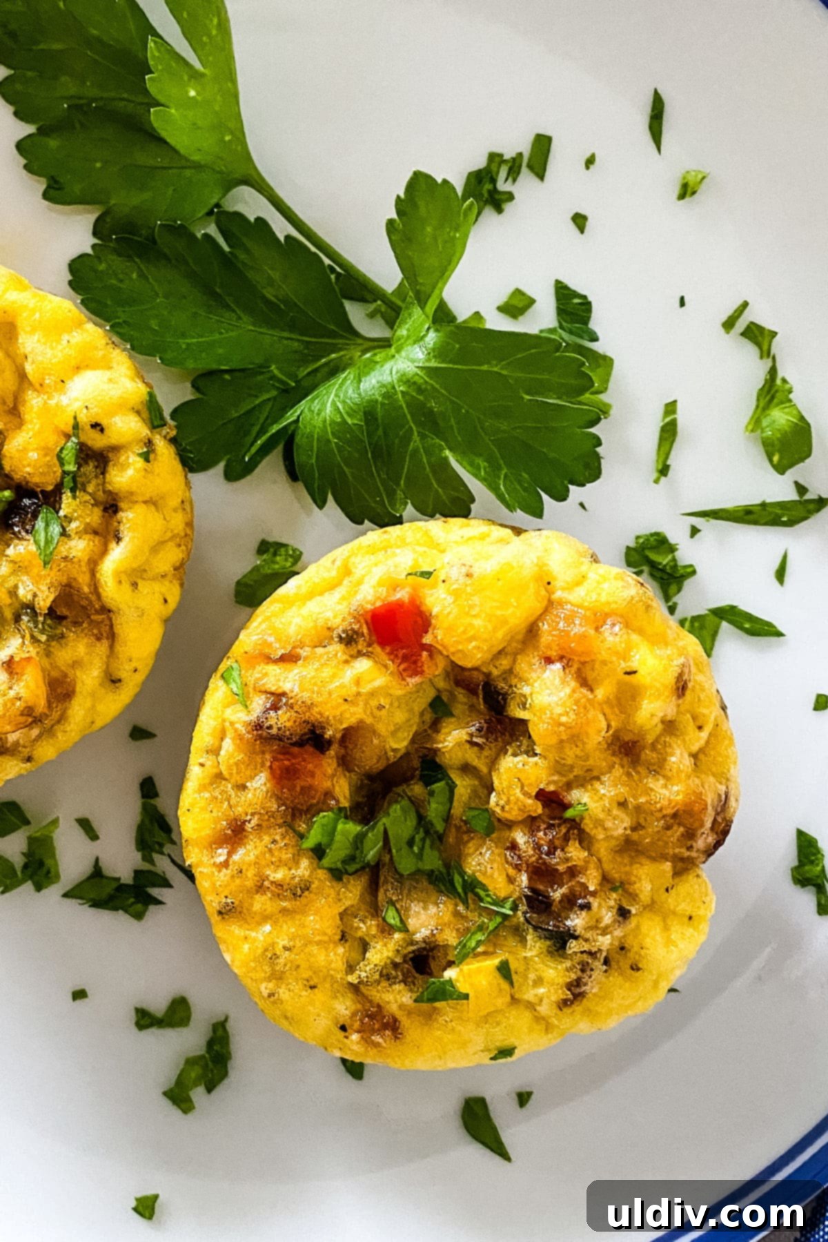 Keto and Paleo Egg Muffins 4 A single baked muffin tin egg cup presented on a white plate, garnished with fresh parsley.