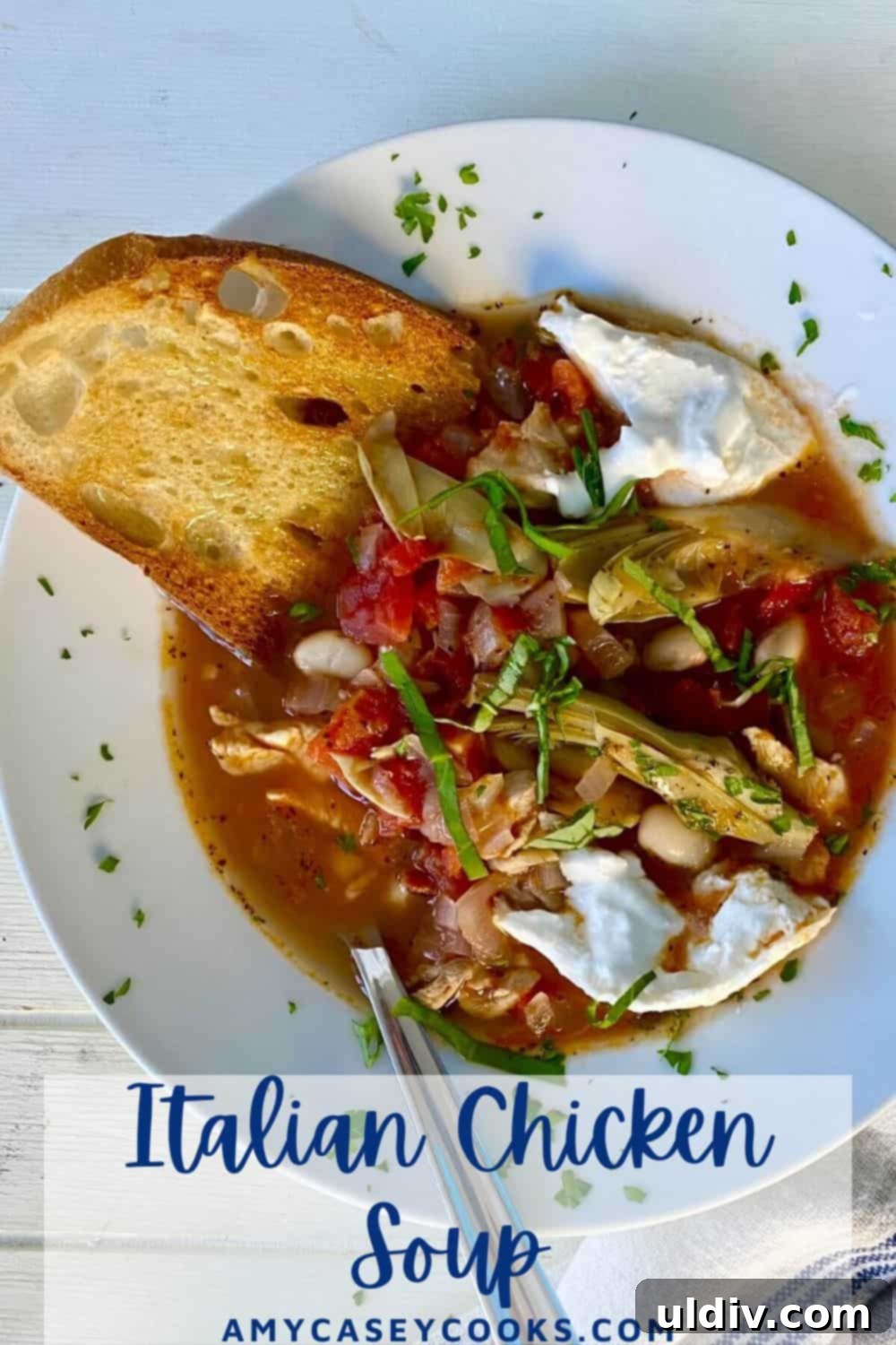A beautifully presented bowl of Italian chicken, artichoke, and bean soup, garnished with fresh basil, showcasing the rich colors and textures of the ingredients.