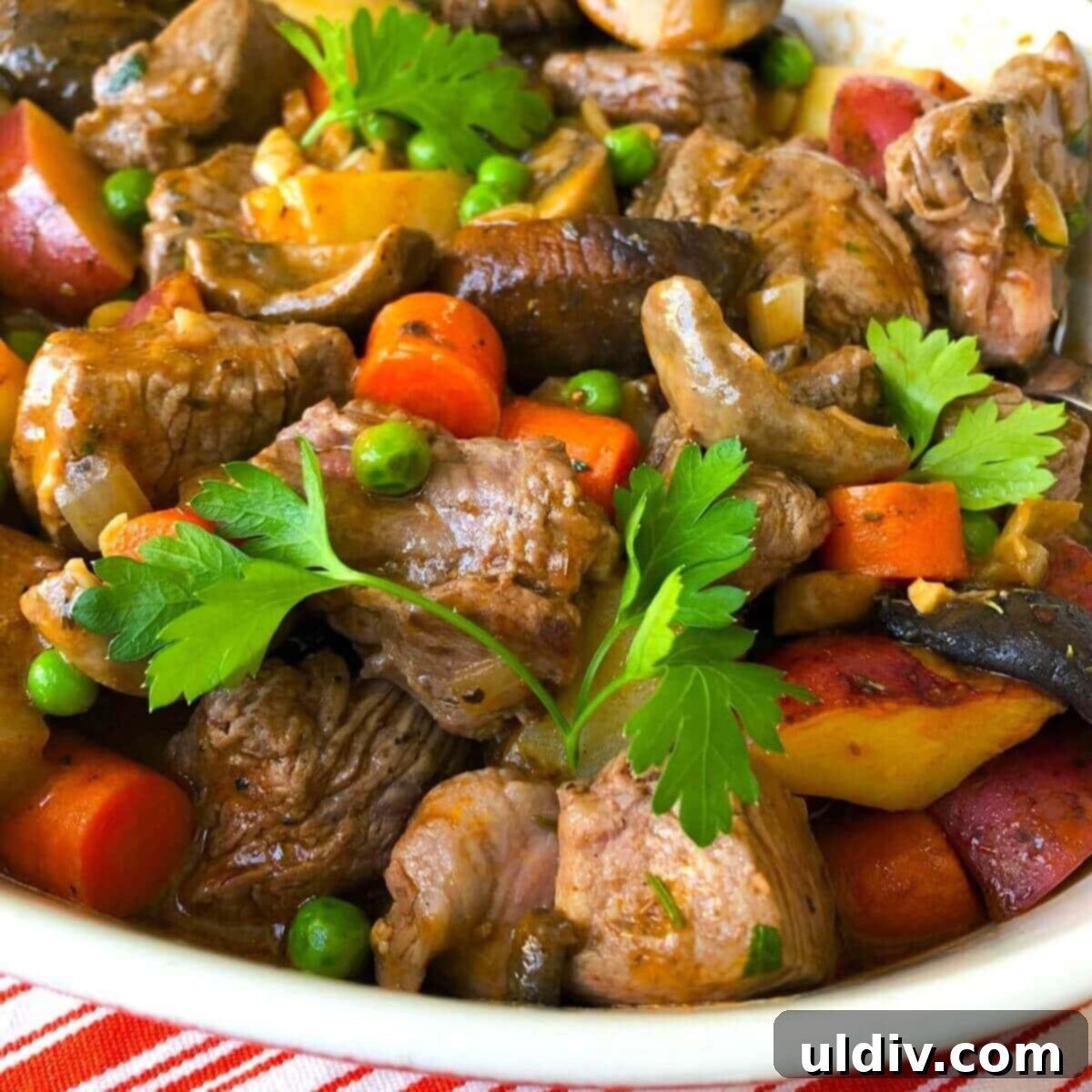 A delicious bowl of beef tenderloin stew.