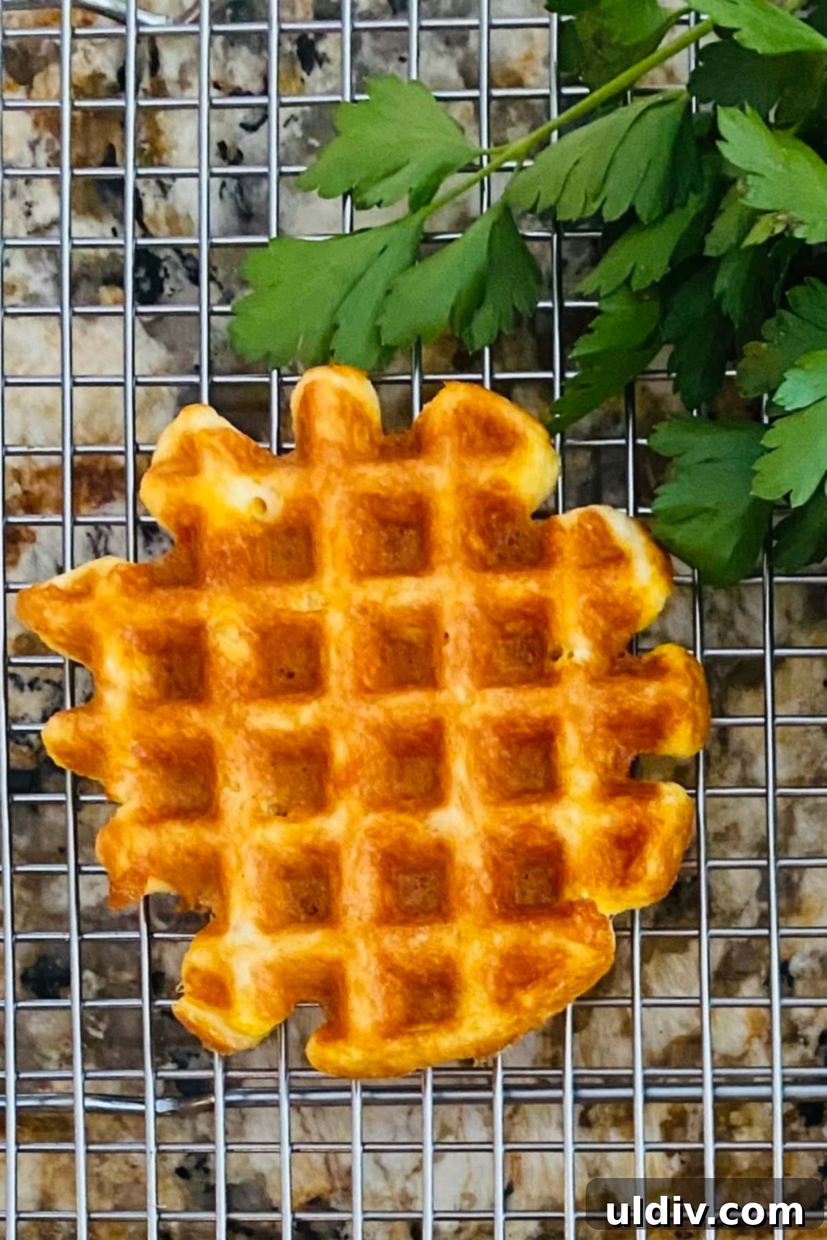 Wholesome Savory Almond Chaffles 3 a waffle made with cheese, almond flour, egg whites and baking powder