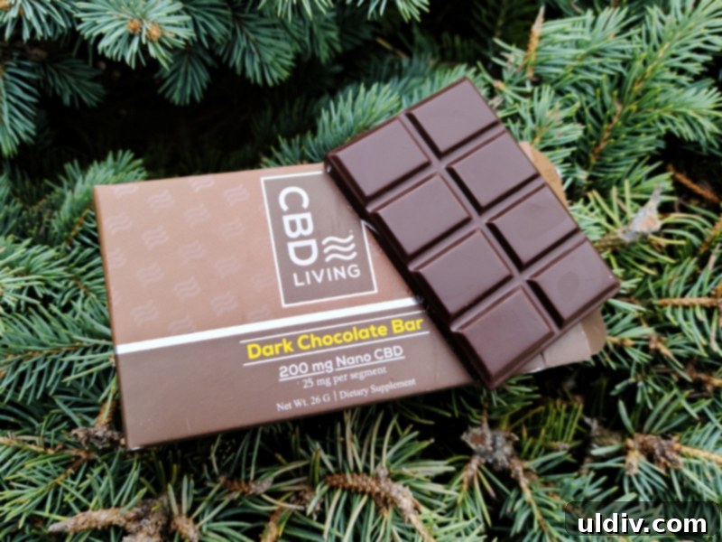 Relax and Refresh with Fruit Soups My CBD Living Review 4 CBD Living Dark Chocolate Bar and Tincture