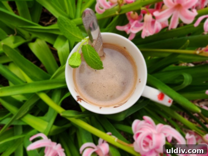 Relax and Refresh with Fruit Soups My CBD Living Review 6 CBD Milk Chocolate latte