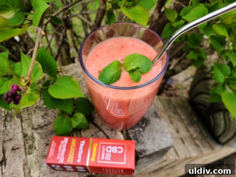 Relax and Refresh with Fruit Soups My CBD Living Review 7 Pineapple and strawberry CBD smoothie