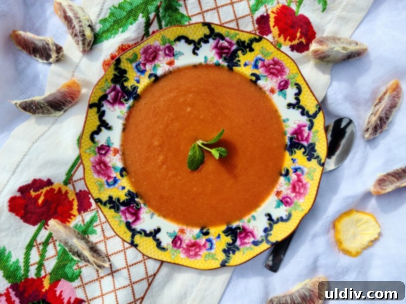 Relax and Refresh with Fruit Soups My CBD Living Review 8 Pumpkin spice CBD soup with blood orange