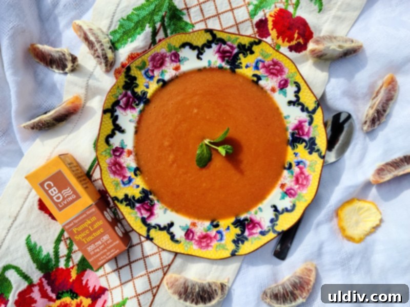 Relax and Refresh with Fruit Soups My CBD Living Review 9 Close-up of CBD pumpkin soup