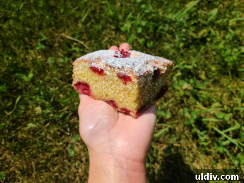 Spring's Best Plant-Based Bites for Health and Flavor 14 Fruit-packed sponge cake made with oat flour