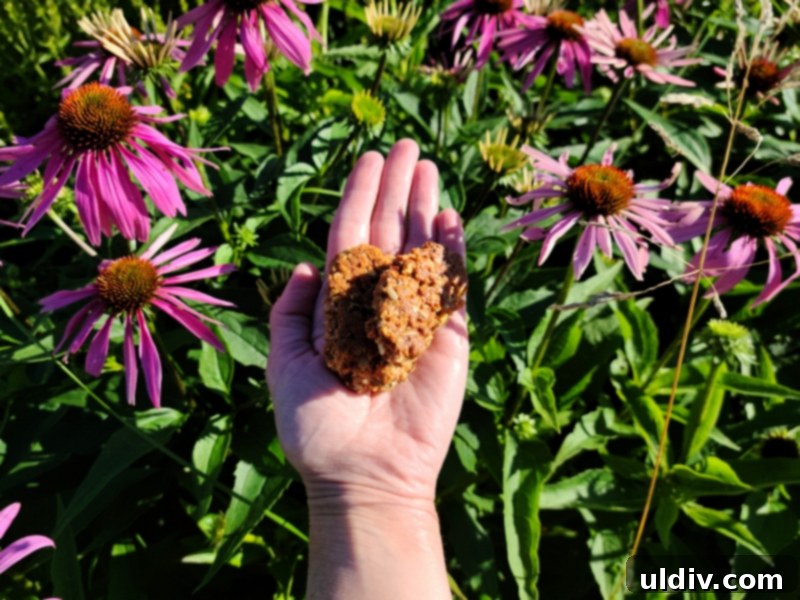 Spring's Best Plant-Based Bites for Health and Flavor 16 BeeFree Warrior Mix in a bowl