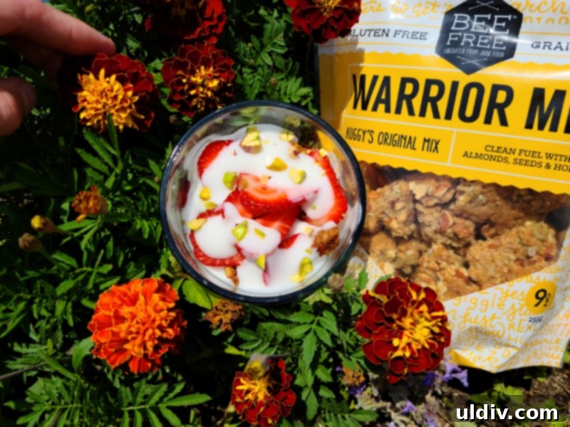 Spring's Best Plant-Based Bites for Health and Flavor 17 BeeFree Warrior Mix with ingredients