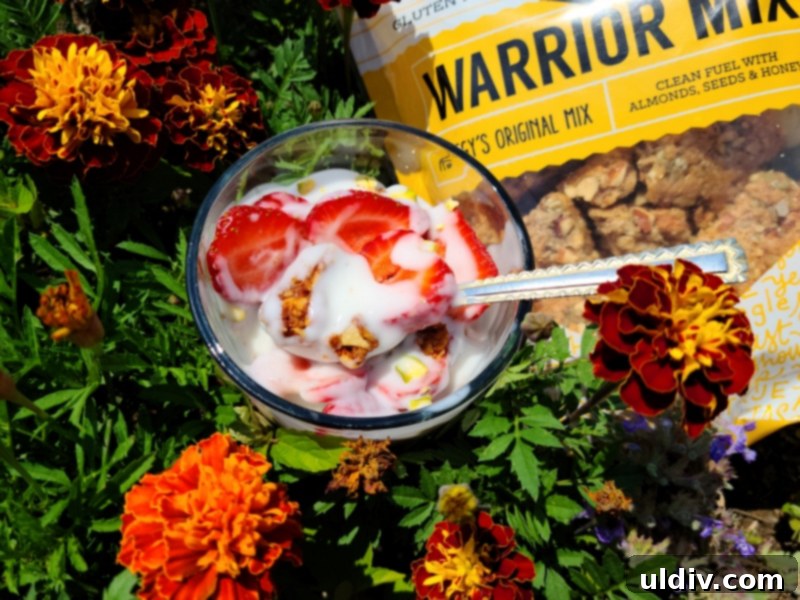 Spring's Best Plant-Based Bites for Health and Flavor 18 BeeFree Warrior Mix with yogurt and fruit