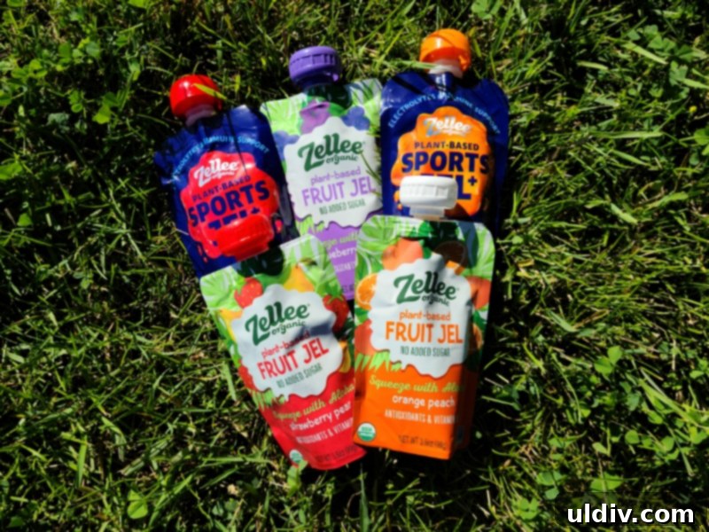 Spring's Best Plant-Based Bites for Health and Flavor 19 Zellee Organic Fruit Jel packaging