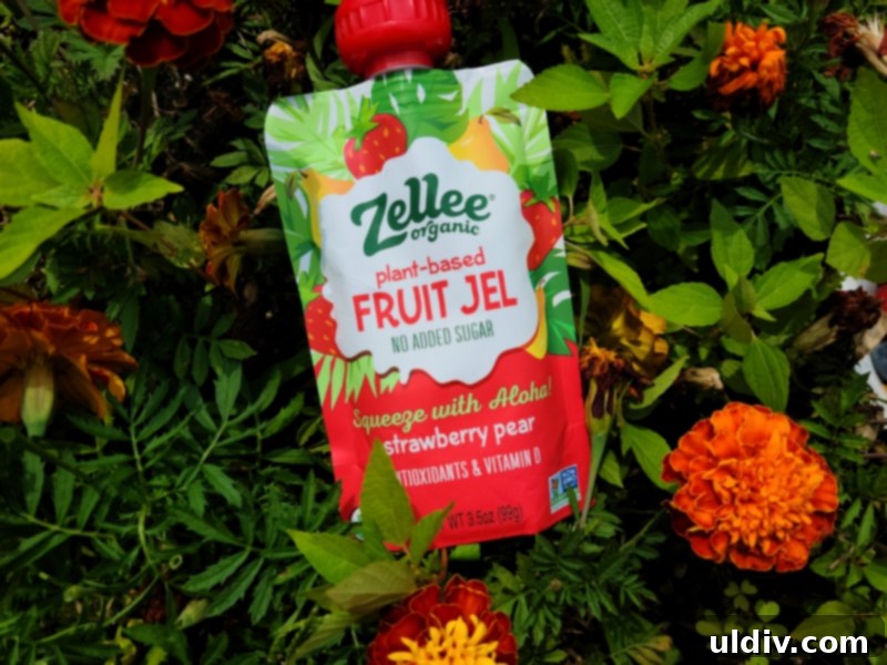 Spring's Best Plant-Based Bites for Health and Flavor 20 Zellee Organic Fruit Jels in various flavors