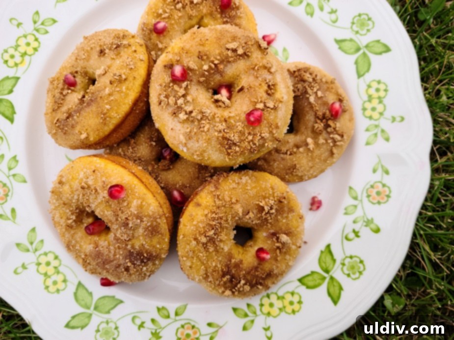 Spring's Best Plant-Based Bites for Health and Flavor 4 Keto cereal topping on pumpkin donuts