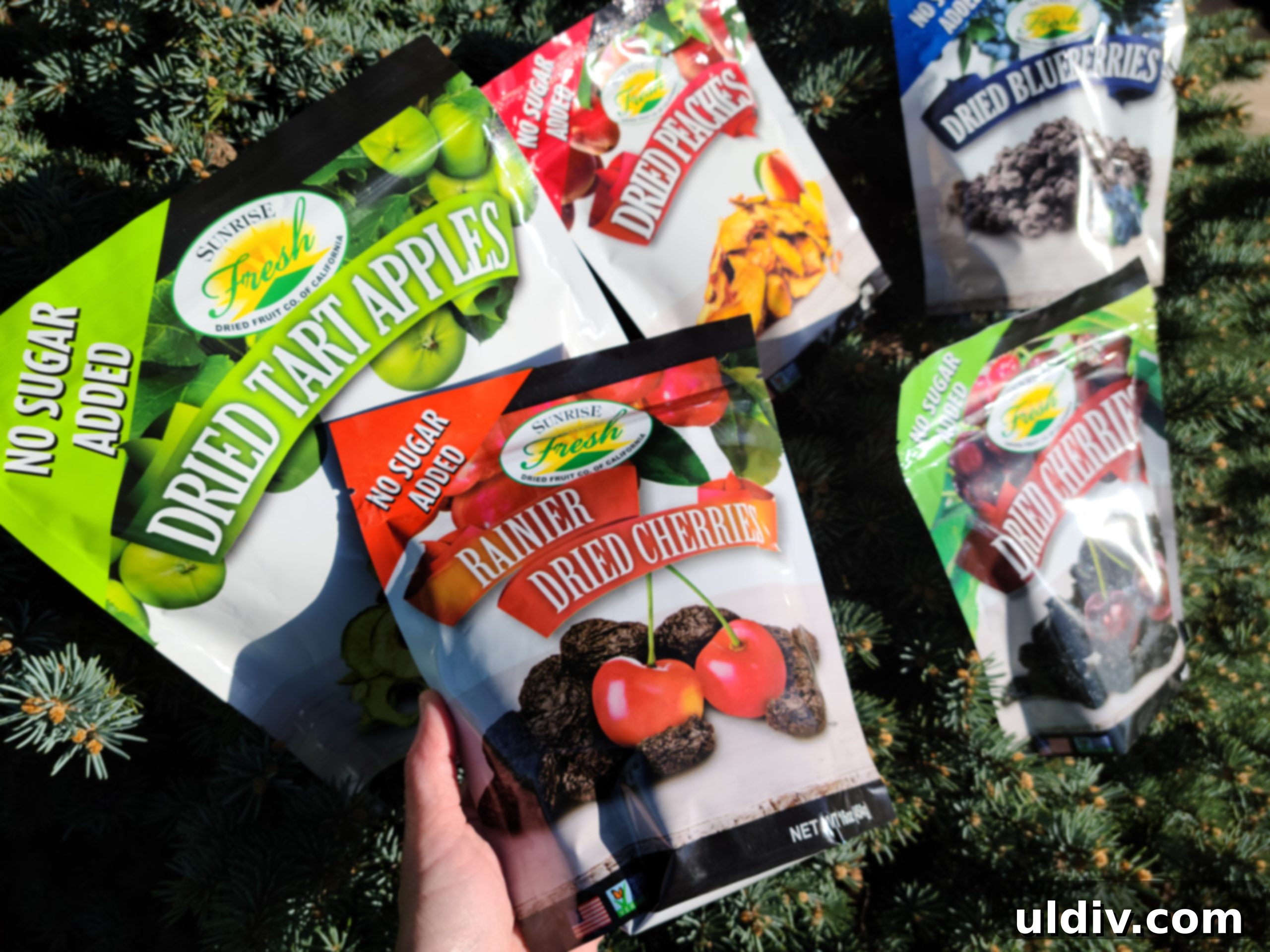 Spring's Best Plant-Based Bites for Health and Flavor 9 Sunrise Fresh dried apples and cherries