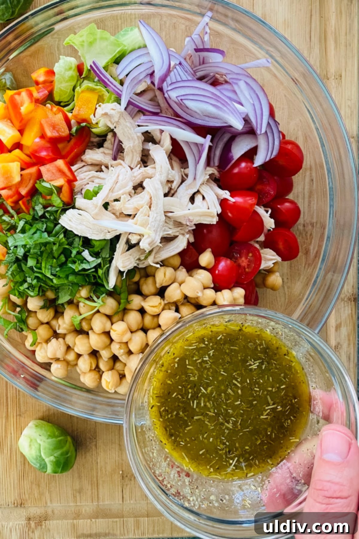 Nourishing Chicken Salad with Brussels and Chickpeas 3 tomatoes, chickpeas, bell peppers, basil, red onion, and vinaigrette