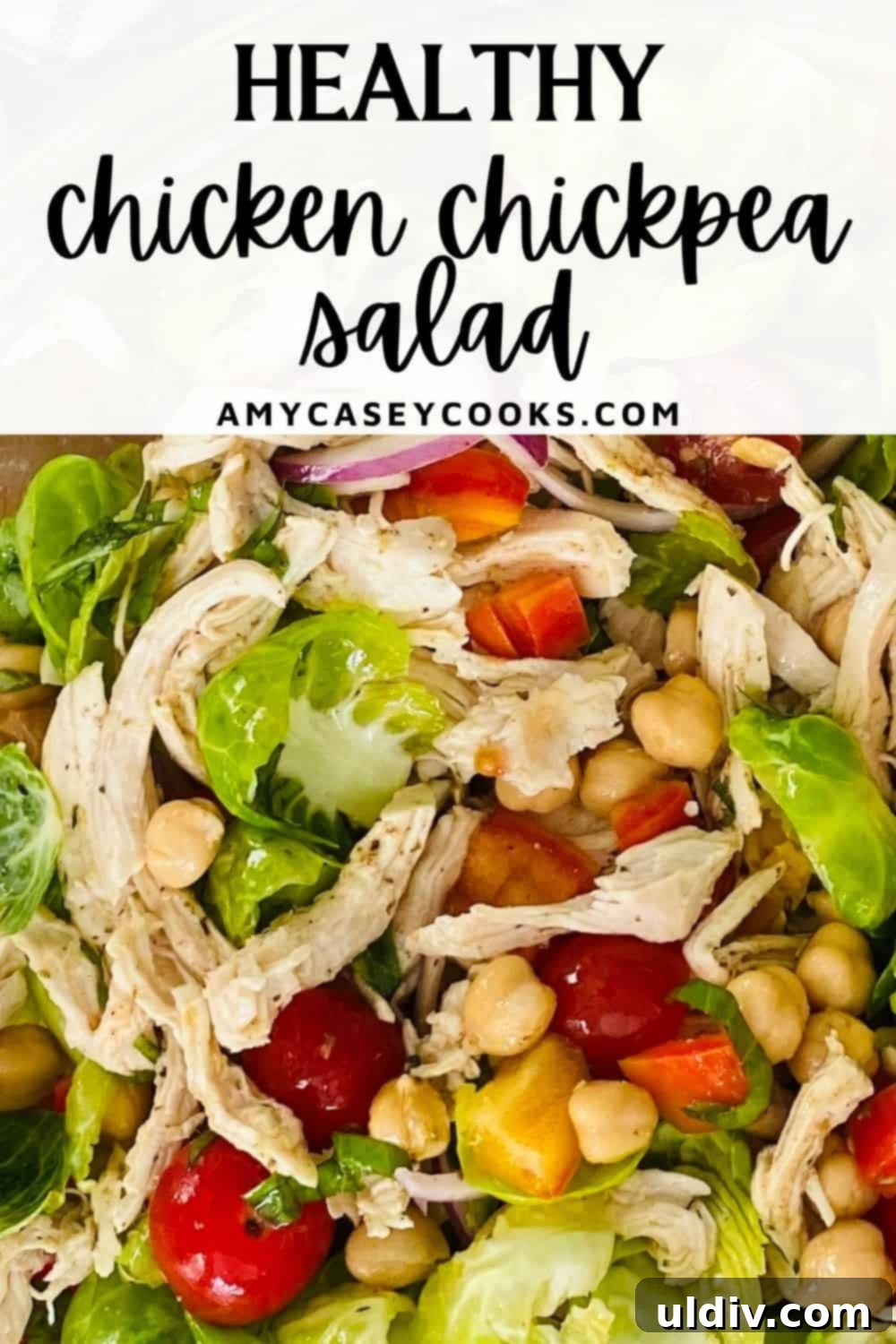 Nourishing Chicken Salad with Brussels and Chickpeas 8 healthy chicken salad.