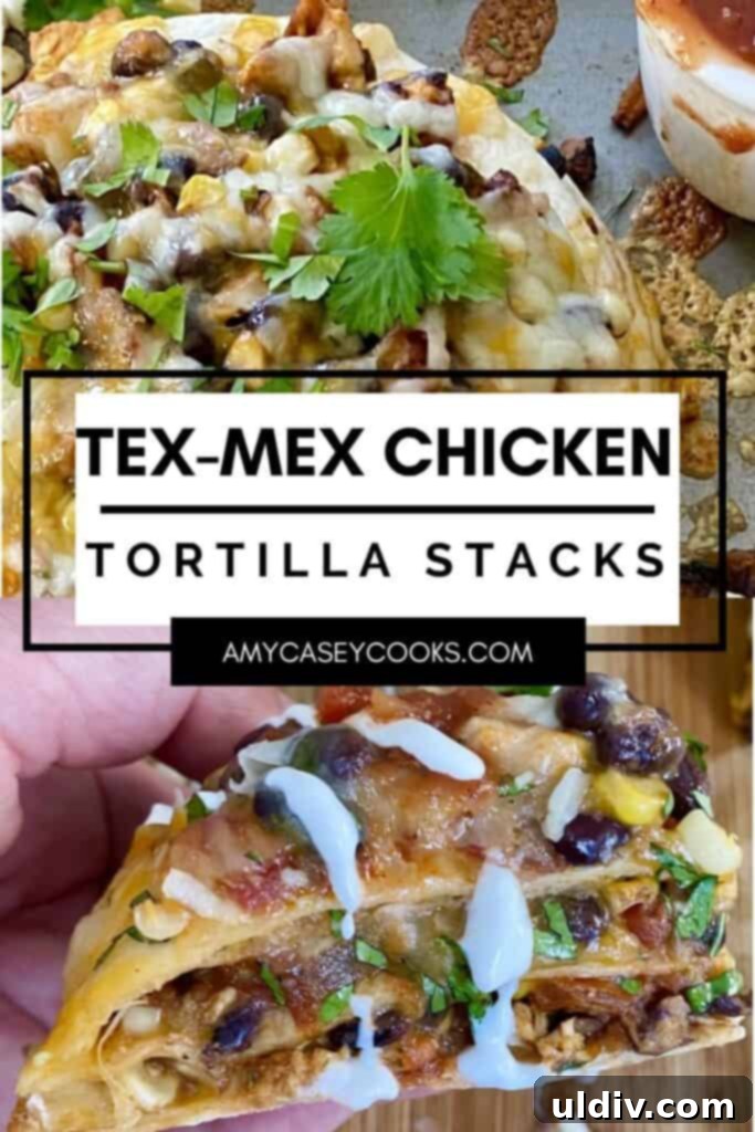 A full, baked chicken tortilla stack, ready to be sliced and served, highlighting its comforting and hearty appeal.