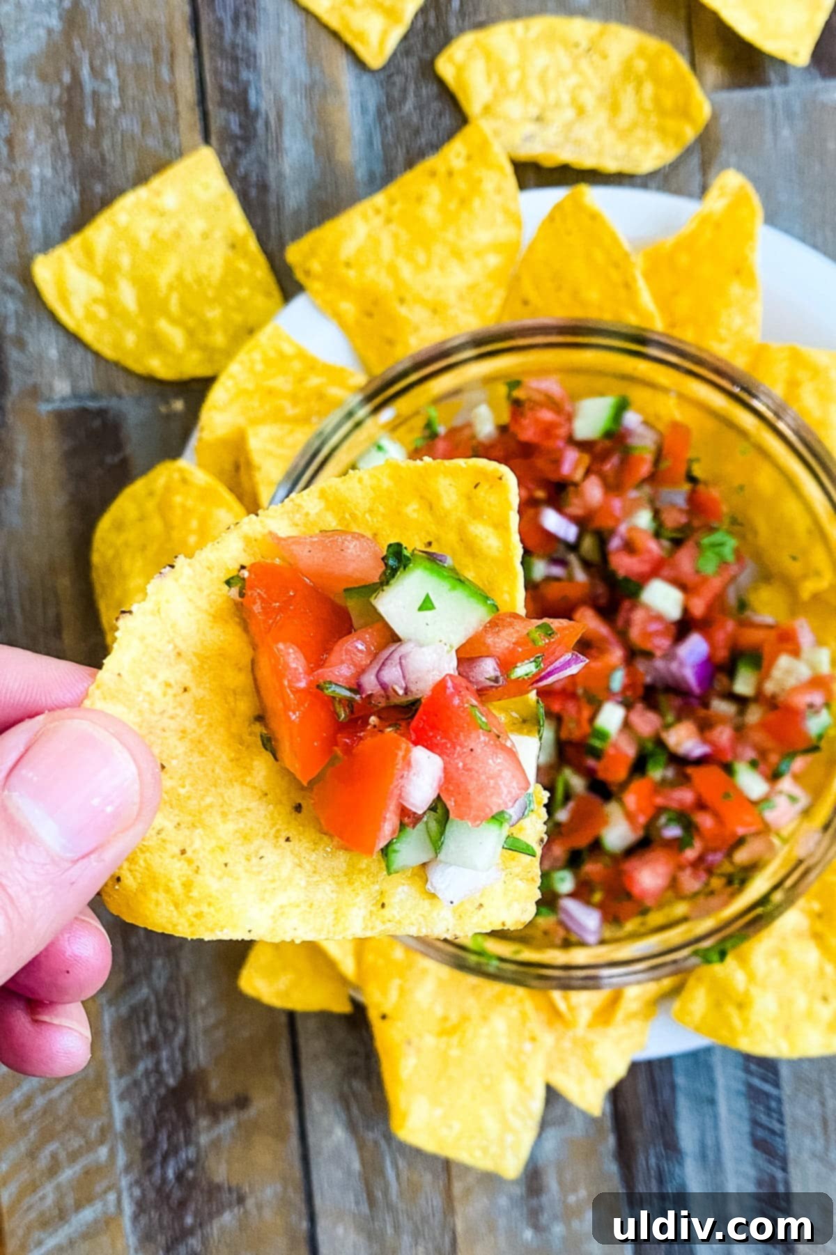 Gentle Pico de Gallo 2 A vibrant, chunky Pico de Gallo without jalapenos served on a crispy tortilla chip, ready for a delightful bite.