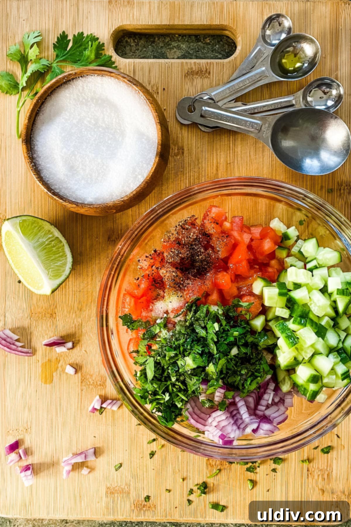 Gentle Pico de Gallo 6 A vibrant spread of fresh ingredients: diced tomatoes, red onion, cucumber, and a bunch of cilantro, ready for salsa preparation.