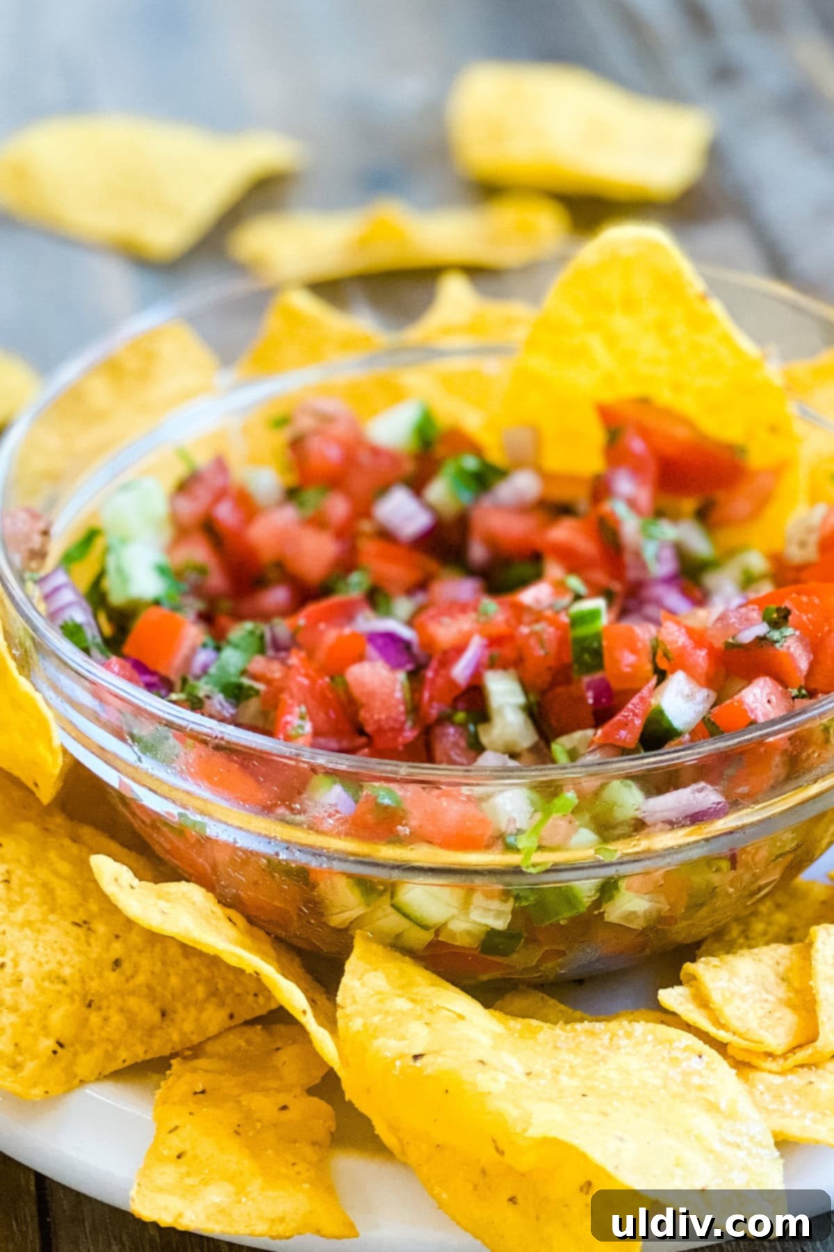 Bright & Zesty Pico 9 A beautifully presented bowl of fresh Pico de Gallo without jalapenos, surrounded by golden tortilla chips, inviting a delicious snack.
