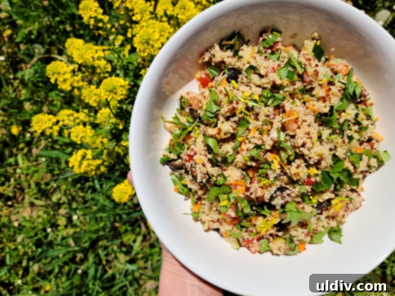 Our Garden Table And Another Dandelion Tale 4 Close-up of the vegan dandelion salad with quinoa and colorful vegetables