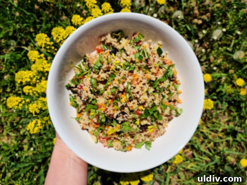 Our Garden Table And Another Dandelion Tale 6 Another view of the completed dandelion and quinoa salad, ready to be served