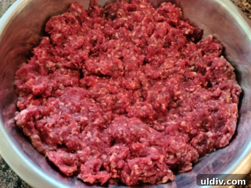 Trompe L'oeil Meatballs: Unmasking the Bison 4 Close-up of raw ground bison meat, emphasizing its lean and red texture