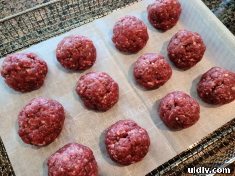Trompe L'oeil Meatballs: Unmasking the Bison 5 Ingredients for bison meatballs, including ground bison, onions, garlic, and spices