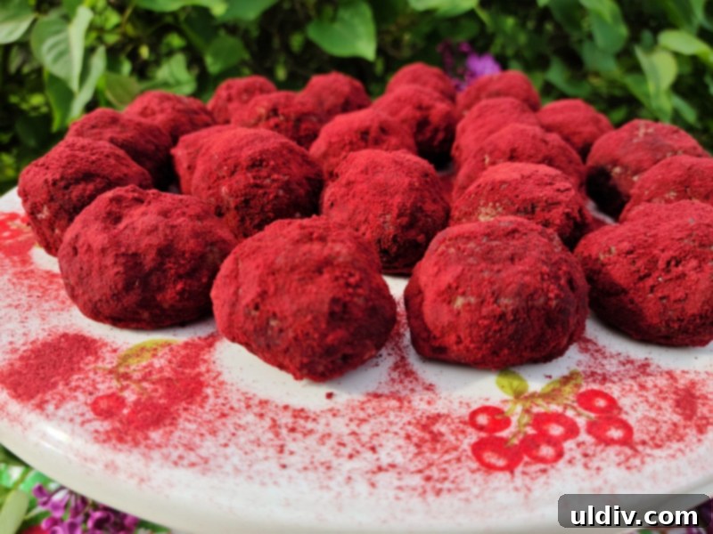 Trompe L'oeil Meatballs: Unmasking the Bison 8 A plated dish of bison meatballs, resembling gourmet truffles, ready to be served
