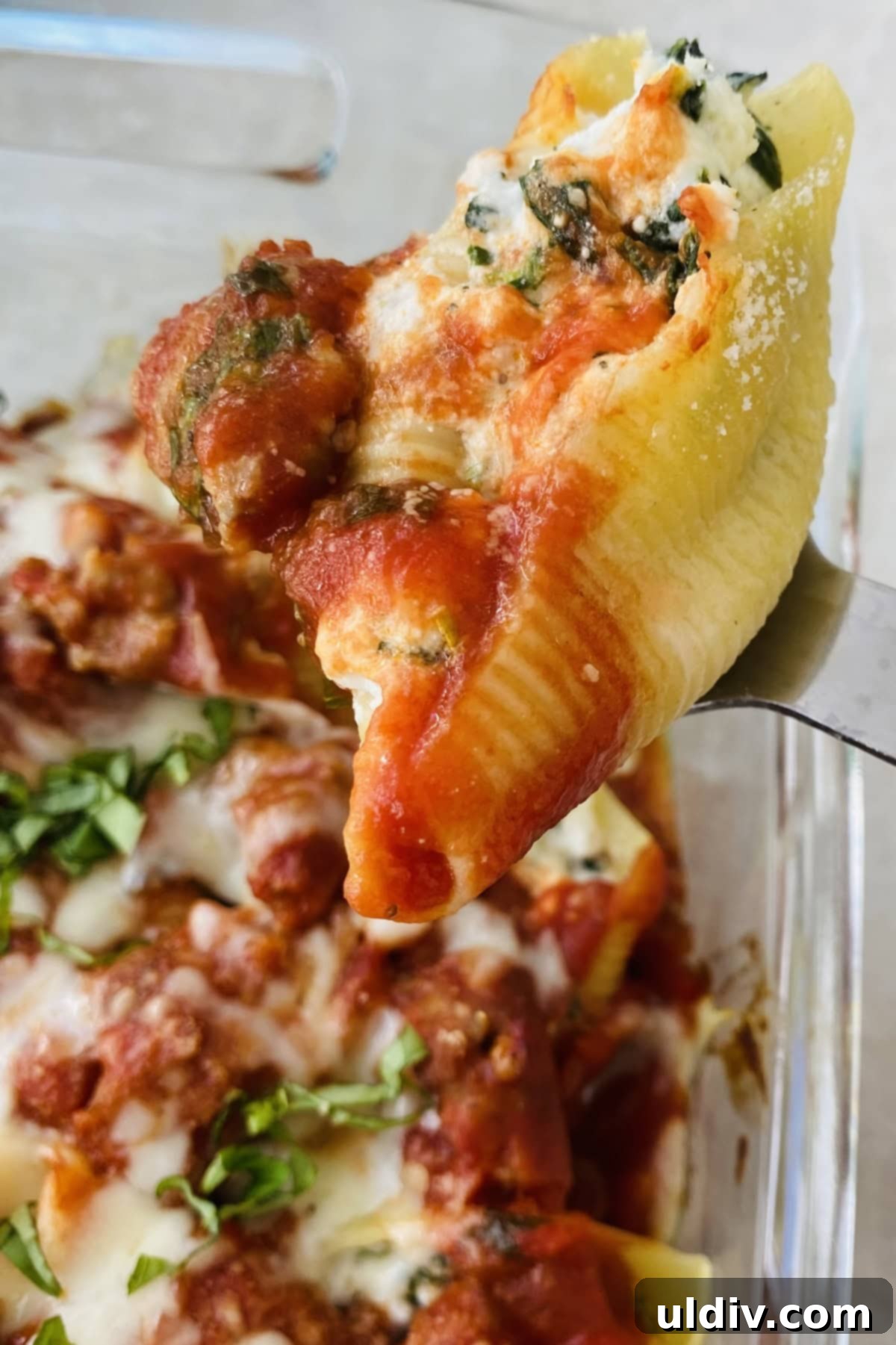 Italian Sausage Stuffed Shells 7 A single serving of Italian stuffed shells, showcasing the rich cheese and spinach filling, vibrant marinara, and a sprinkle of fresh basil.