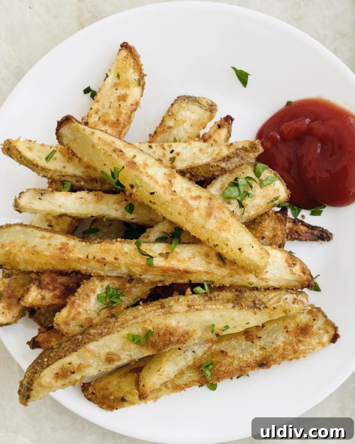 Homemade Crispy Oven Fries 2 A plate of perfectly crispy homemade oven fries, golden brown and seasoned, served with a side of ketchup.