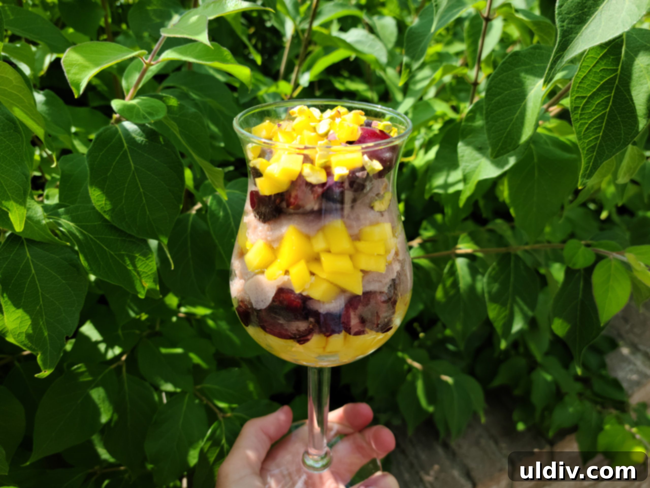 Plant Milk Chronicles: My Months of Dairy-Free Discoveries 2 Delicious plant-based milk alternatives