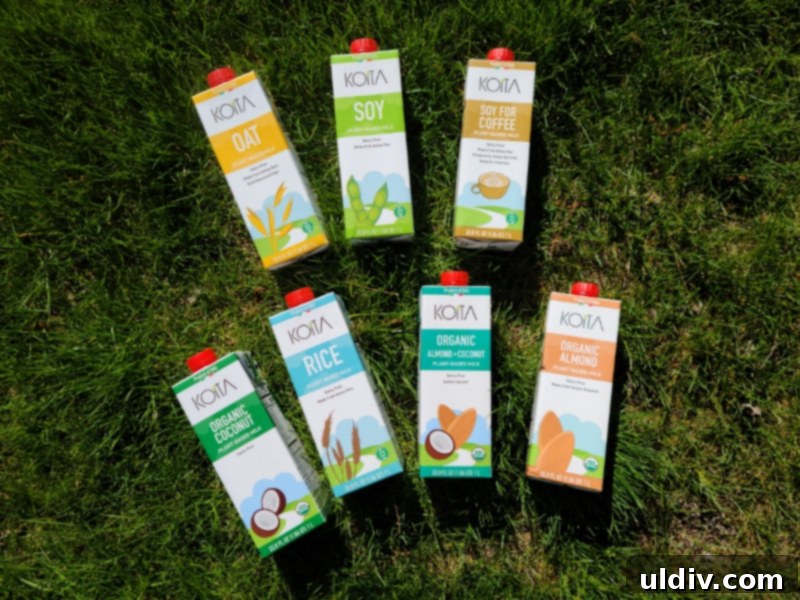 Plant Milk Chronicles: My Months of Dairy-Free Discoveries 6 Koita plant-based milk assortment